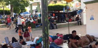 Veracruz entre los estados en que se frena el tránsito de 22 mil migrantes en tres meses