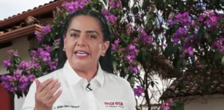 Sabemos a lo que vamos al Congreso: Paola Linares Capitanachi