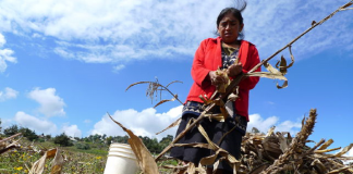 Violencia de Género en el campo
