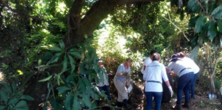 Inician madres y familiares inspección de nueva fosa clandestina en #Veracruz