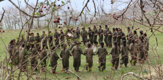 La lucha de las mujeres de Kurdistán, una Revolución ejemplo