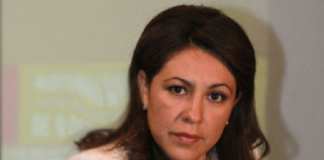 Ley Orgánica de la Administración Pública regirá la Cuarta Transformación: Dip. Rocío Barrera