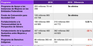 Presupuesto 2019 elimina y acota programas para disminuir violencia feminicida