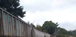 Frustra IPAX nuevo intento de asalto a tren, en Acultzingo