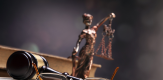 Postulan 5 mujeres para Fiscal General de la República