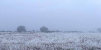 Emite la CNPC Declaratoria de Emergencia para tres municipios