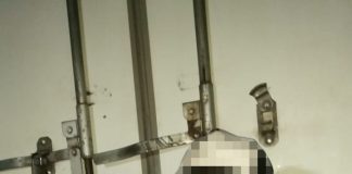 Impide SSP robo de automotor en autopista federal Puebla-Veracruz