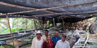 Más gestión para estimular la acuacultura: Vicky Virginia Tadeo