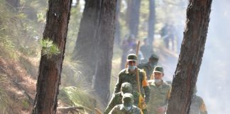 Cuatro helicópteros de Fuerzas armadas, PF y Conagua combaten incendio en Veracruz