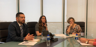 Anilú Ingram presenta a INMUJERES iniciativa de feminicidio y alerta de violencia de género