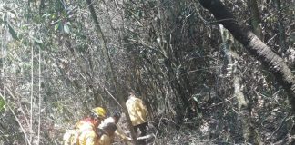 Suman 915 hectáreas siniestradas en zona montañosa de #Veracruz