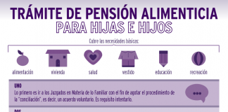 El peregrinar de las madres que luchan por una pensión alimenticia