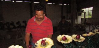 Adornan arco a base de penca de cucharilla