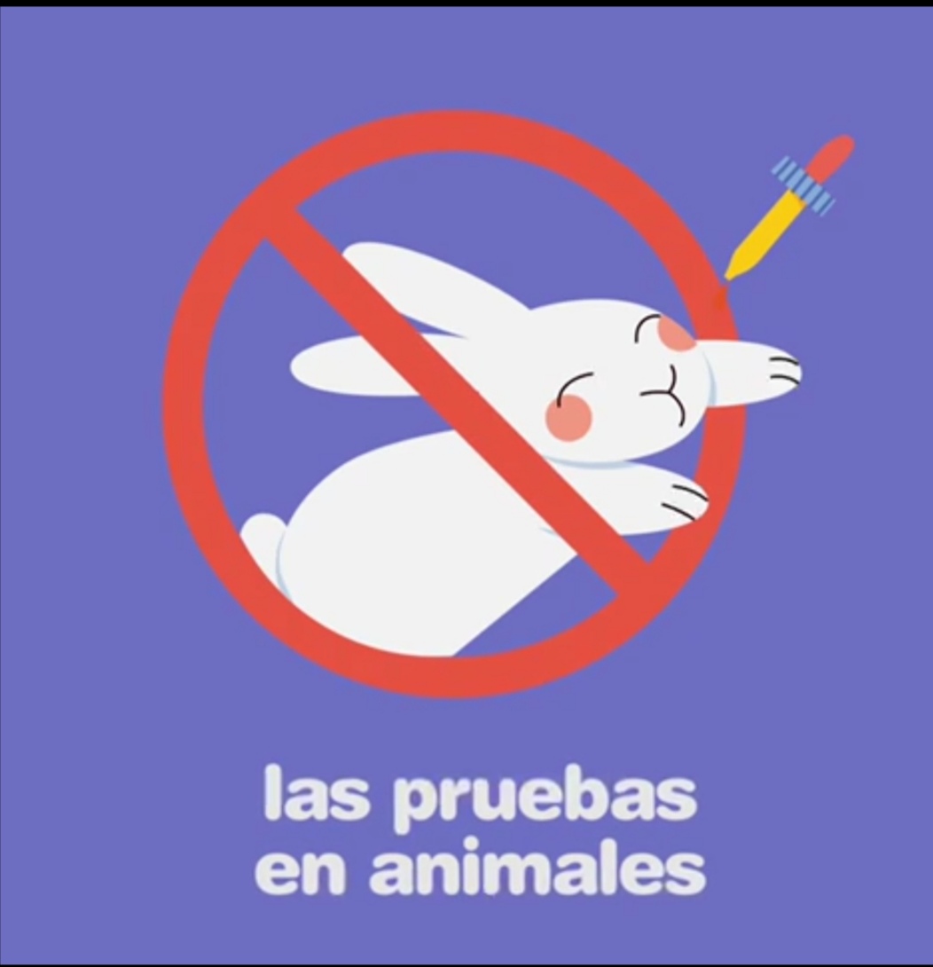 Senado prohíbe pruebas en animales con fines cosméticos