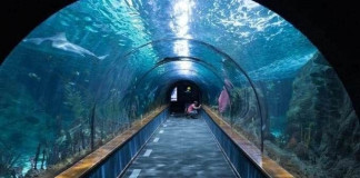 El Acuario, en riesgo.