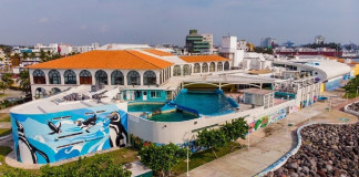 López Obrador pedirá informe a Cuitláhuac García sobre requisa del Acuario