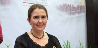 En el Poder Legislativo trabajamos por mejores condiciones y oportunidades para las madres de familia: Cecilia Guevara.