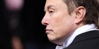 Cuentas falsas, clave para entender la pausa de Elon Musk en compra de Twitter