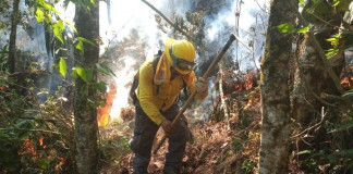 Atiende PC 8 incendios forestales en Veracruz