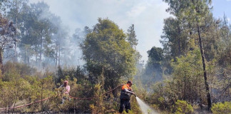 PC informa de los 13 incendios forestales en el estado de Veracruz