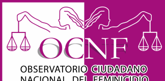 Piden remover a la Fiscal de Feminicidios del estado de Puebla, Celia Segreste Acevedo por omisa e indolente