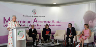 En el Senado urgen a mejorar atención para garantizar una maternidad plena