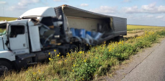 Desconocen el destino de cuatro toneladas de perros y gatos muertos descubiertos en accidente de tráiler