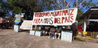 Ambientalistas exigen que Veracruz sea declarado libre de mineria Tóxica.