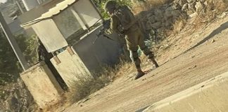 Denuncian “crimen en toda regla” contra otra periodista palestina