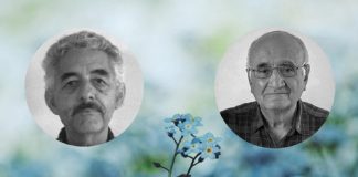 Efectos de la simulada transformación han profundizado la violencia: Red TDT