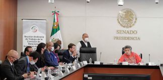 Llaman en el Senado a encontrar soluciones estructurales para atender migración de menores .