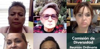 La Comisión de Diversidad organizará el Parlamento Juvenil LGBTIQ+
