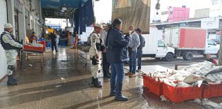 Guardia Nacional y Conapesca aseguran carne de tiburón en Central de abasto. por Veda