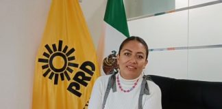 Dip. Elizabeth Pérez celebra sentencias del TEPJF sobre exclusión y falta de paridad y