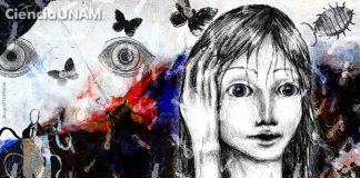 Esquizofrenia, una de las 10 principales causas de discapacidad en el mundo .