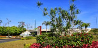 Busca ayuntamiento de Xalapa sembrar más de 14 mil árboles en distintos espacios.