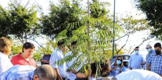 Inicia campaña de reforestación y arborización urbana 2022 . #Xalapa