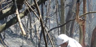 Denuncian devastación en comunidad totonaca por explosión de ducto de Pemex