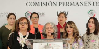 Malú Micher plantea tipificar violencia por interpósita persona