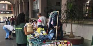 Greenn Peace reactivó en Xalapa la iniciativa ecológica VerdeVer