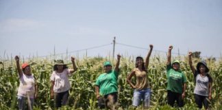 Feminismo popular o feminismo elitario