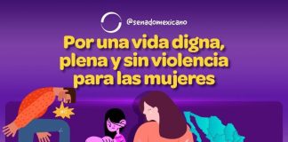 Por una vida digna y libre de violencia para las mujeres #Senado