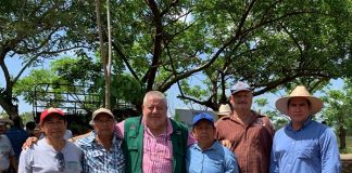 Llegan a Veracruz más de 46 millones de pesos para el Programa de Producción para el Bienestar*