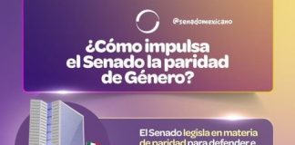 ¿Qué hace el Senado por la paridad de Género? #Enterate