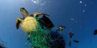 En España, el país más árido de Europa, proponen 5 claves para cuidar el planeta