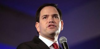 Revira senador de EUA tras reacción de AMLO y no se desiste de alegrarse que no vaya a la Cumbre de las Américas