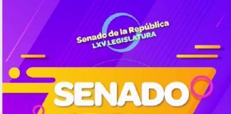 El Senado en Corto