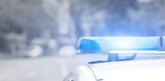 Senado, obligado a revisar Estrategia de Seguridad por mandato constitucional: IBD