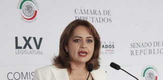Diputada impulsa ley para reglamentar Gobiernos de Coalición.