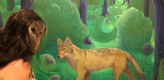 Escenarios bucólicos invitan a perderse en obra de Ben Sledsens .